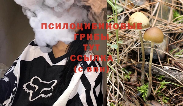 мяу мяу мука Зеленодольск